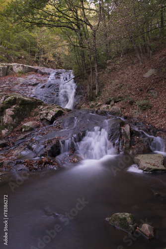 Waterfall in forest