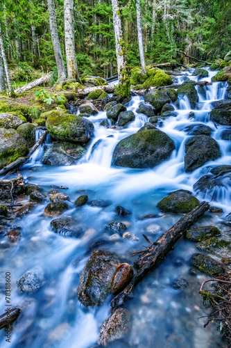 Forest River