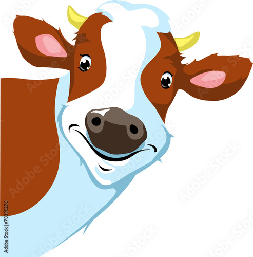cow peeking  - vector illustration