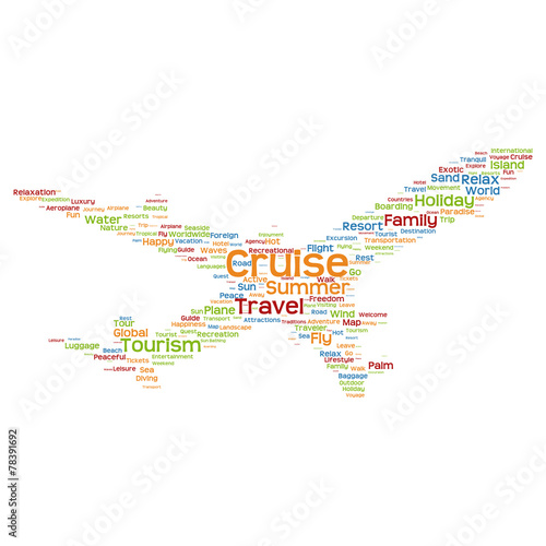 Vector conceptual travel or tourism plane word cloud