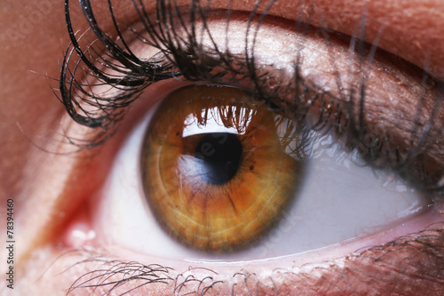 Human eye close-up