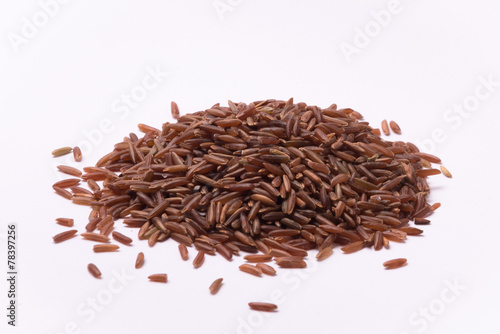 Quadro em tela Falasco Ermes rice