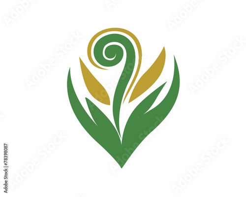 Fern Logo