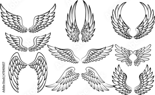 Fotografie, Obraz Illustration of wings collection set