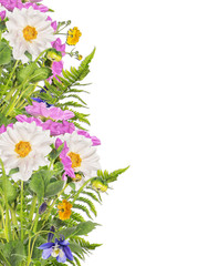 Floral border of dahlia and fern, isolated on white