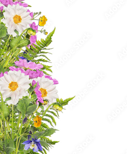 Fototapeta Naklejka Na Ścianę i Meble -  Floral border of dahlia and fern, isolated on white
