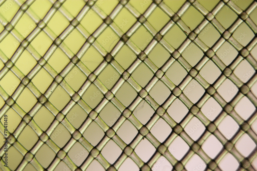 Fototapeta premium rete in miniatura