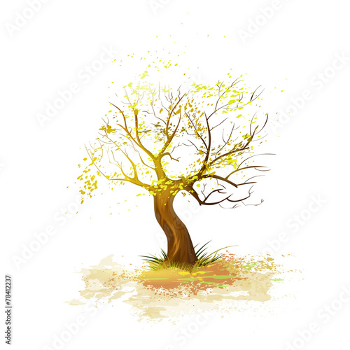 autumn tree yellow leaves fall down isolated over white