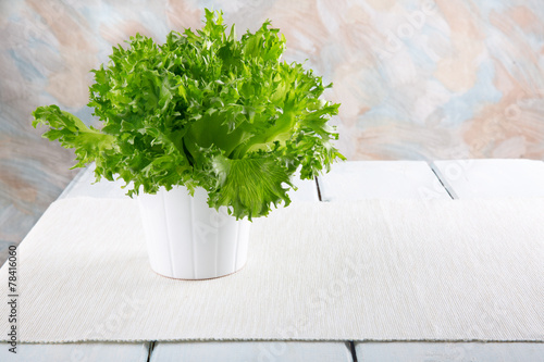 Fresh green lettuce in a white pot. photo