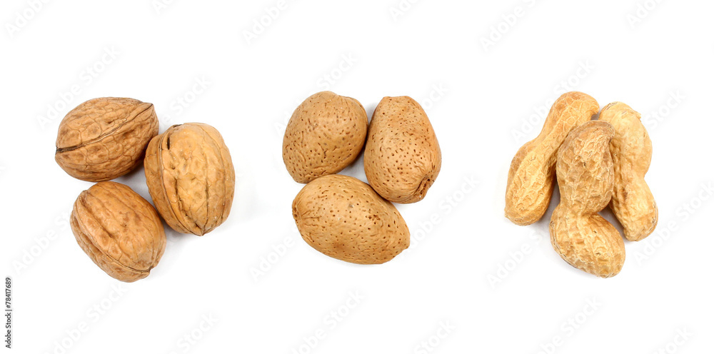 various nuts on a white background. various nuts on a white background.