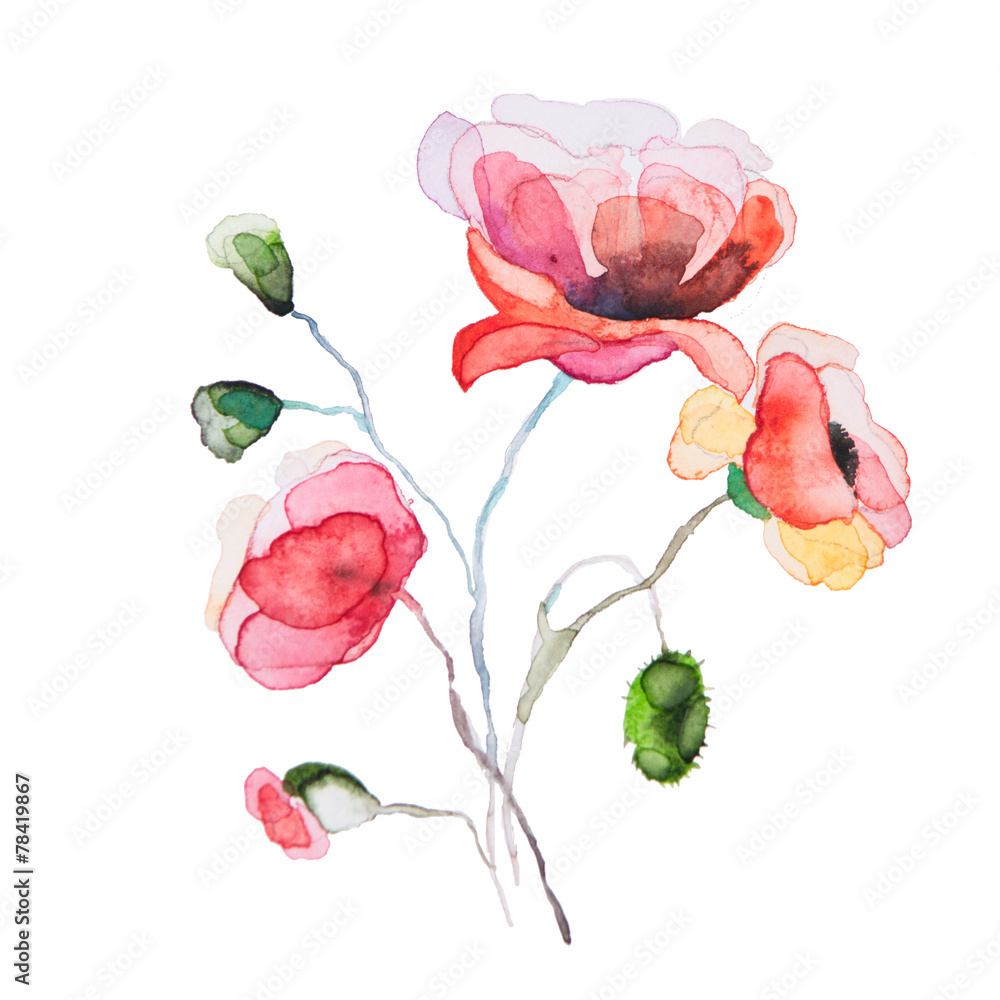 Naklejka premium the spring flowers watercolors isolated on the white background