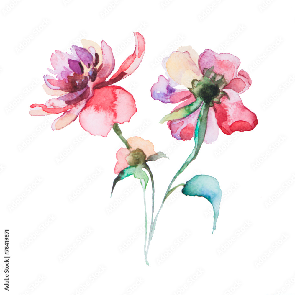 Fototapeta premium the spring flowers watercolors isolated on the white background