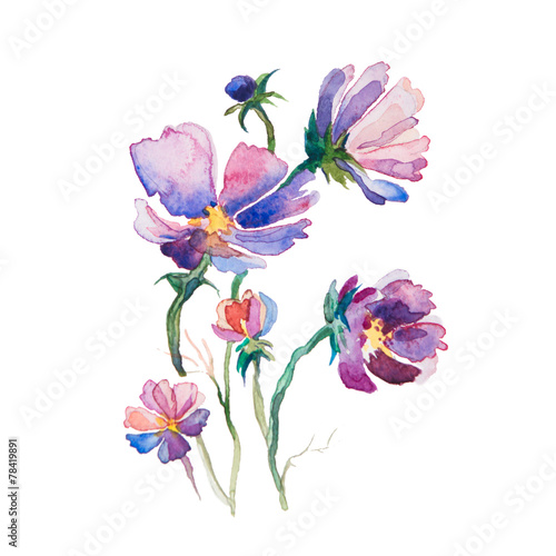 the spring flowers watercolors isolated on the white background