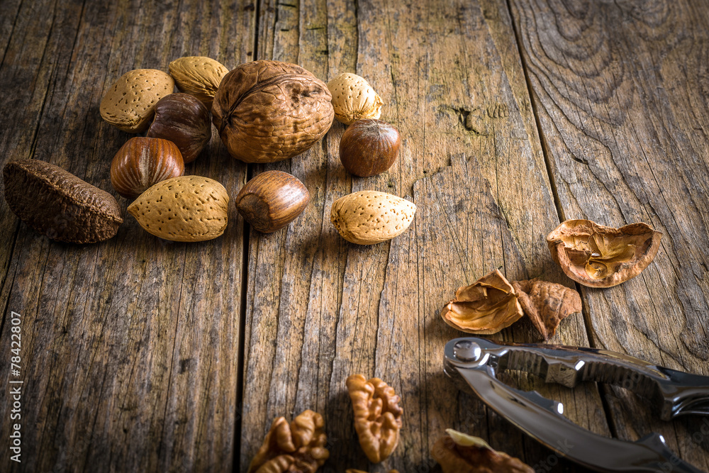 steel nutcracker and nuts steel nutcracker and nuts