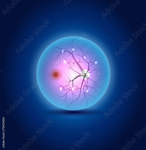 Anatomy of the eye fundus, beautiful blue design