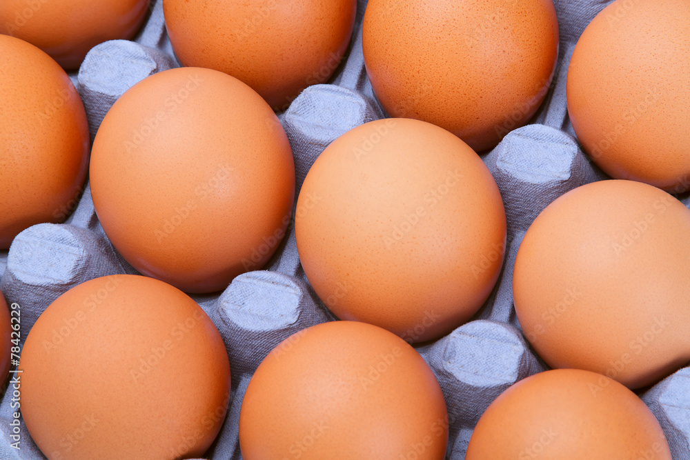 Chicken eggs in a tray Chicken eggs in a tray
