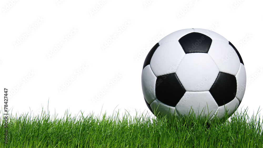 soccer ball soccer ball