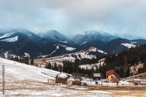 Hut in the snow © Dmytro Kosmenko