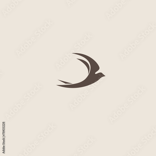 Swallow bird abstract vector logo design template.