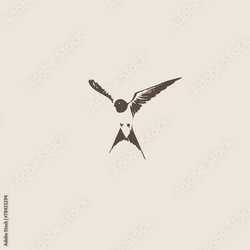 Hand drawn swallow vector illustration.
