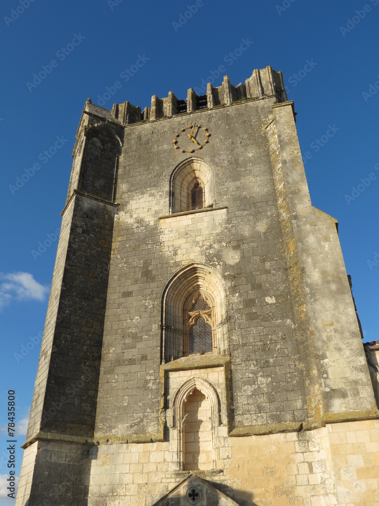 Charente-Maritime - Façade Sud de l'Eglise Saint-Pierre