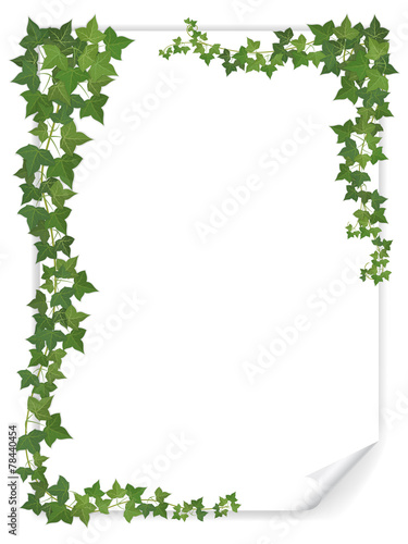 white paper sheet decorated ivy