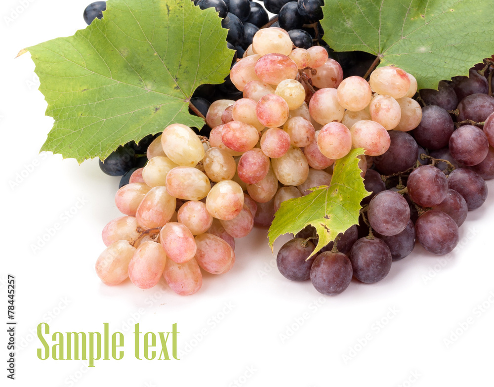 Fototapeta premium grapes isolated on white background
