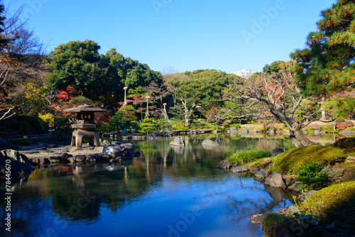 Fototapeta Naklejka Na Ścianę i Meble -  Autumn foliage in the Kyu-Furukawa Gardens, Tokyo