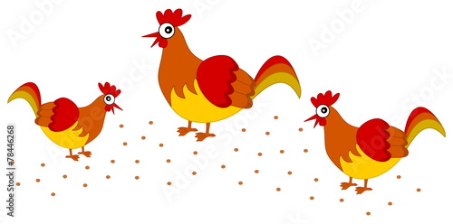 several hen pecking grain