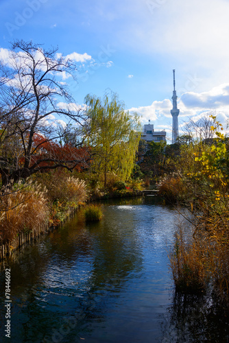 Tokyo Skytree and Mukojima-Hyakkaen Garden in autumn