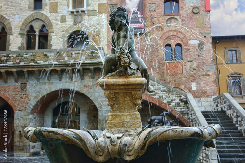 Bacchino Fountain In Prato