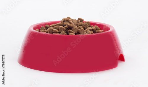 Dog food in red bowl, isolated, white background
