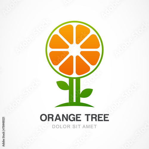 Vector logo design template. Orange tree illustration. Garden, o