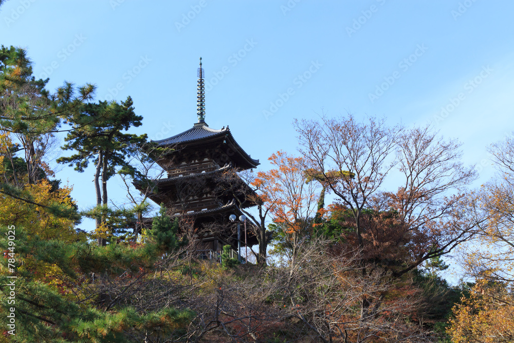 Autumn foliage in the Sankeien Garden, Yokohama, Kanagawa, Japan Autumn foliage in the Sankeien Garden, Yokohama, Kanagawa, Japan