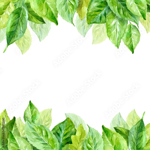 Vector illustration of spring leaves. watercolor