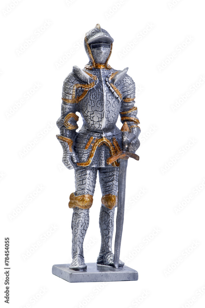 Fototapeta premium knight