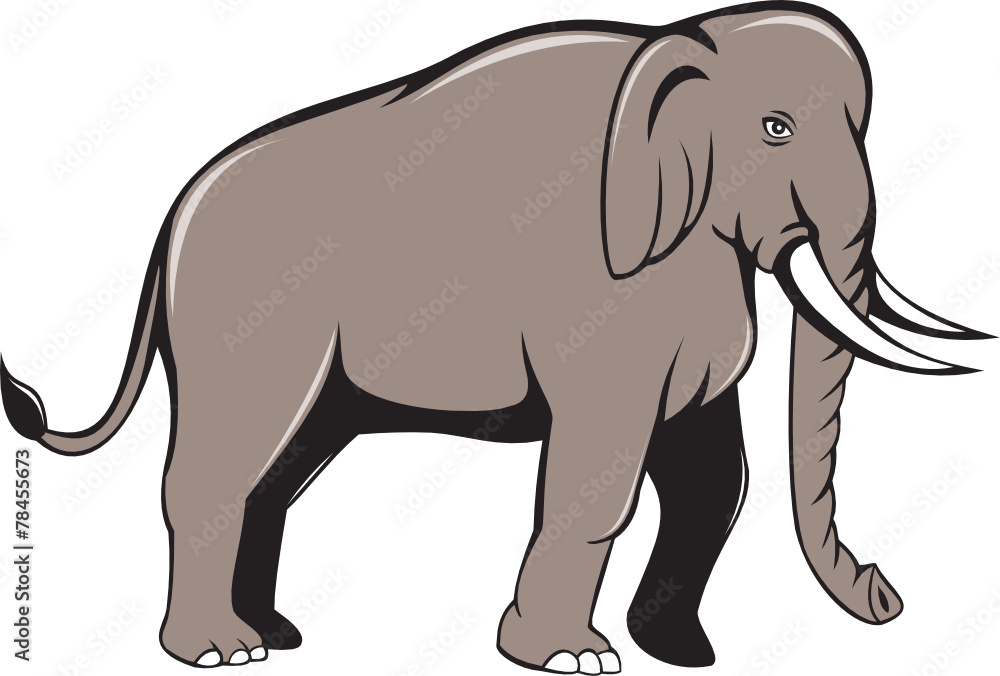Obraz premium Indian Elephant Side View Cartoon