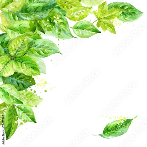 Illustration of spring leaves. watercolor angular composition.