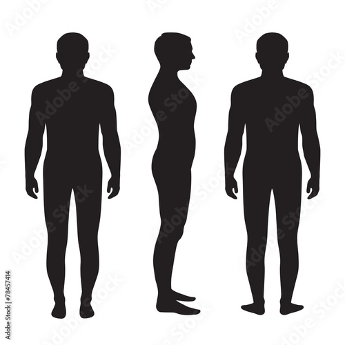 human body anatomy, vector man silhouette, front back side