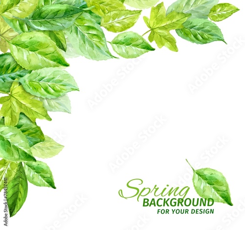 Illustration of spring leaves. watercolor angular composition.