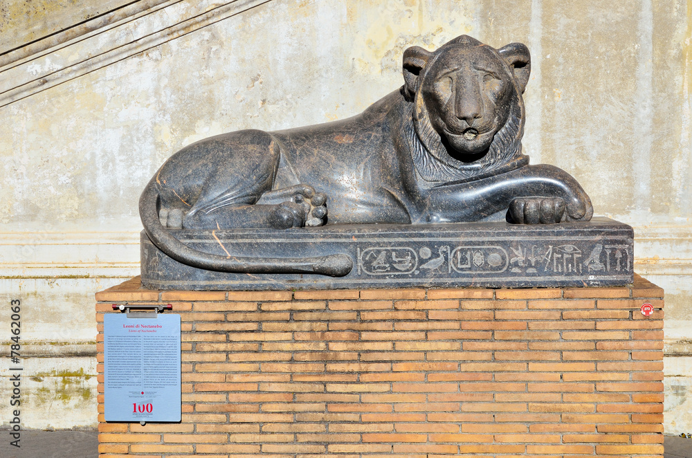 Fototapeta premium The Vatican museums in Rome, Italy