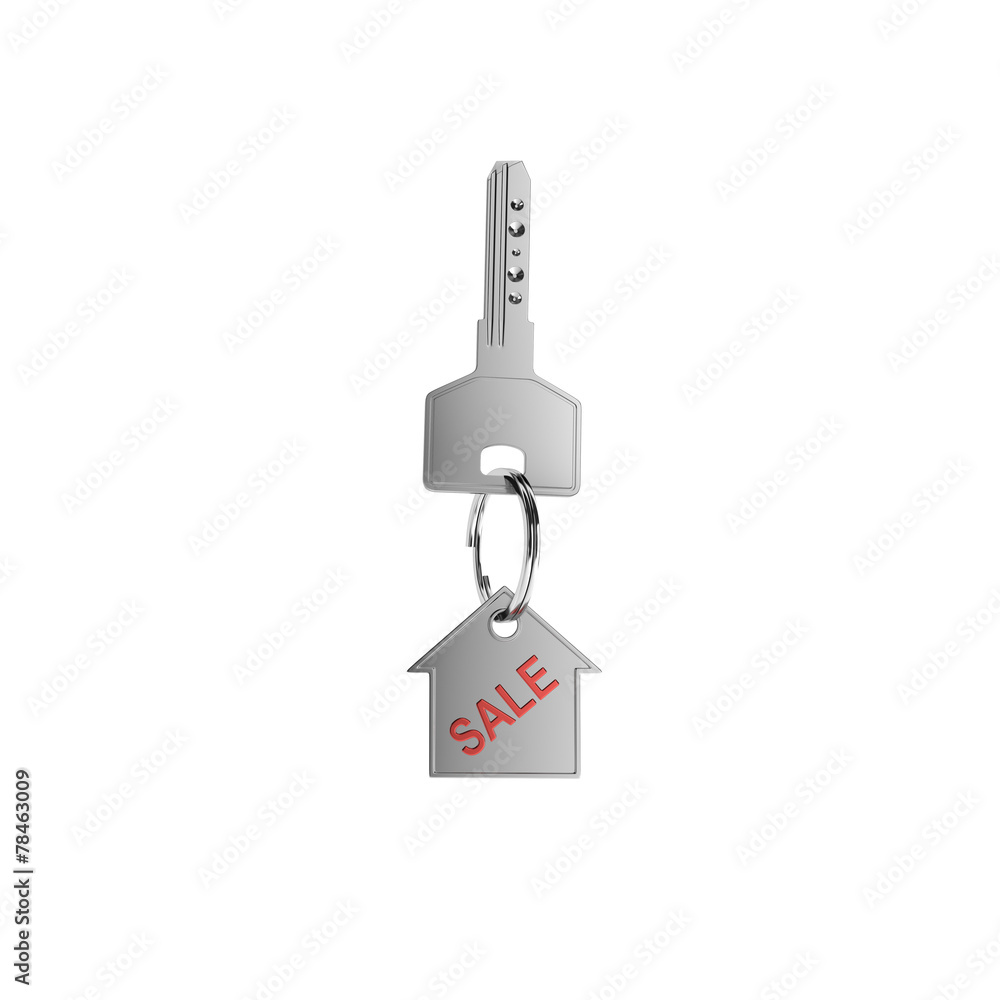 key with trinket key with trinket