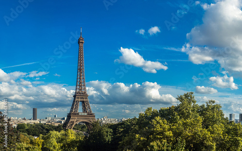 Eiffel Tower in Paris, France © Sergii Figurnyi