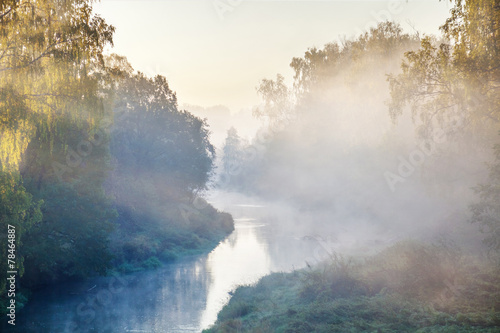 Morning summer river