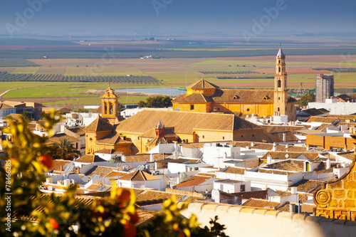 General view of andalucian town. Osuna