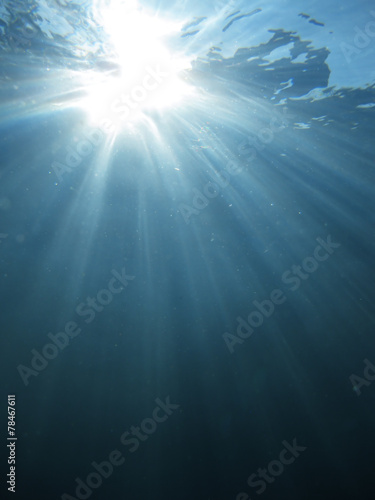 Light rays underwater © Leigh Prather