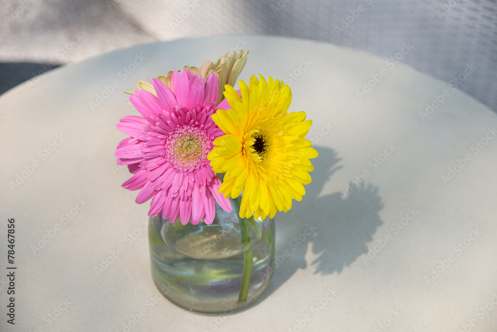 daisy-gerbera in glass vase
