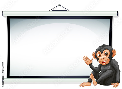 Monkey and screen