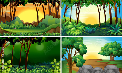 Forest scenes