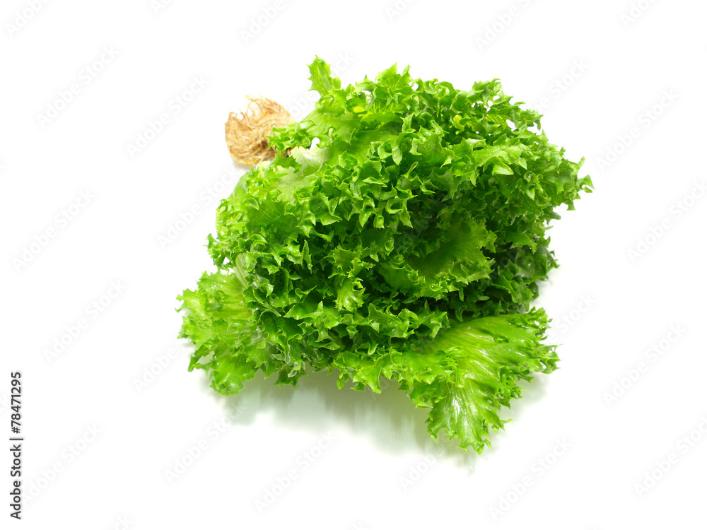 Obraz premium lettuce salad fragment on a white background